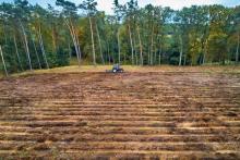 Jesienne przygotowanie gleby do odnowienia lasu