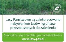 NABYWAMY LASY I GRUNTY PRZEZNACZONE DO ZALESIENIA