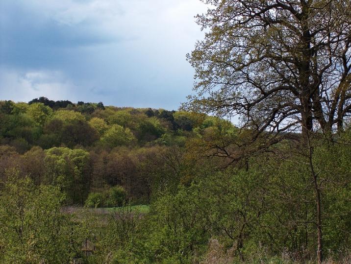Widok na dolinę w Pszczewskim Parku Krajobrazowym (fot. Piotr Kosiorkiewicz)